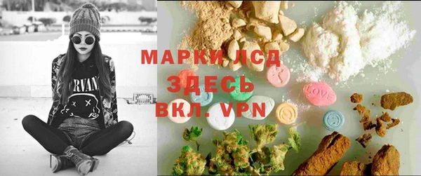 мяу мяу мука Баксан
