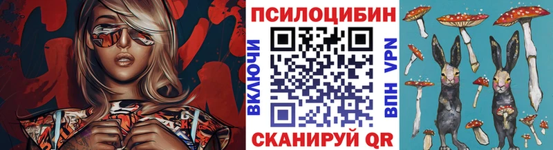 Галлюциногенные грибы Psilocybe Ленинск